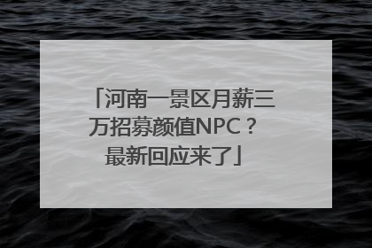 河南一景区月薪三万招募颜值NPC？最新回应来了