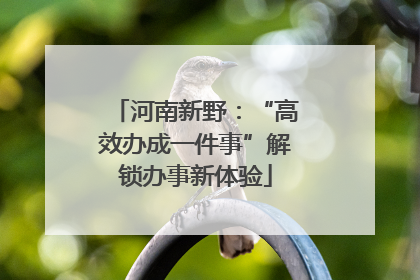 河南新野：“高效办成一件事”解锁办事新体验