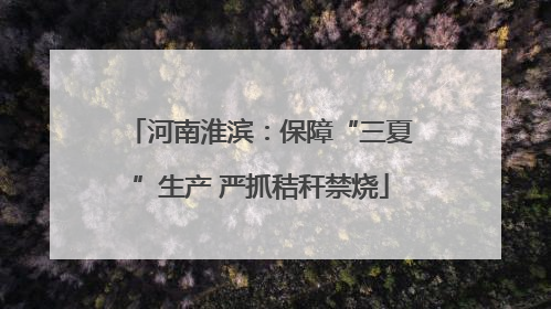 河南淮滨：保障“三夏”生产 严抓秸秆禁烧