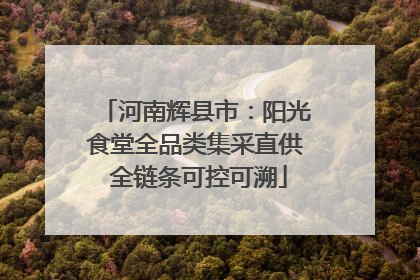 河南辉县市：阳光食堂全品类集采直供 全链条可控可溯