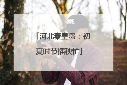 河北秦皇岛：初夏时节插秧忙