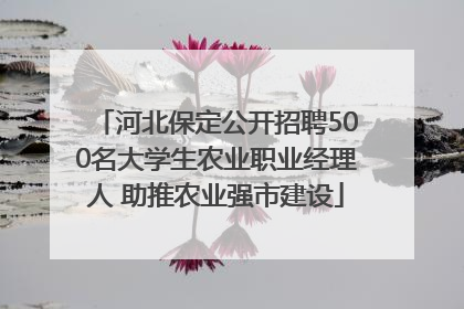 河北保定公开招聘500名大学生农业职业经理人 助推农业强市建设