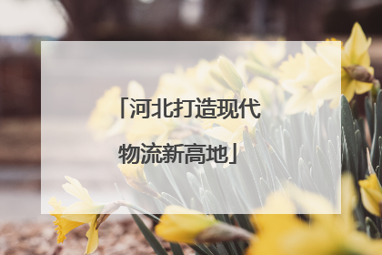 河北打造现代物流新高地