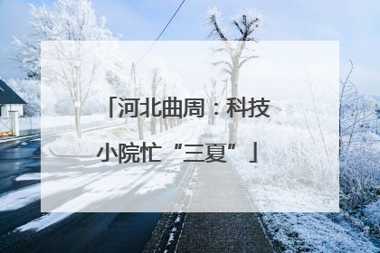 河北曲周：科技小院忙“三夏”