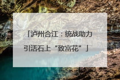 泸州合江：统战助力引活石上“致富花”