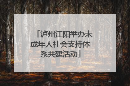 泸州江阳举办未成年人社会支持体系共建活动