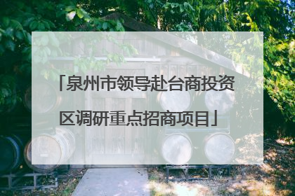 泉州市领导赴台商投资区调研重点招商项目