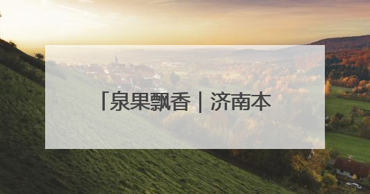 泉果飘香｜济南本周末采摘指南——“杏”好遇见你！
