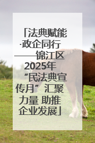 法典赋能·政企同行——锦江区2025年“民法典宣传月”汇聚力量 助推企业发展