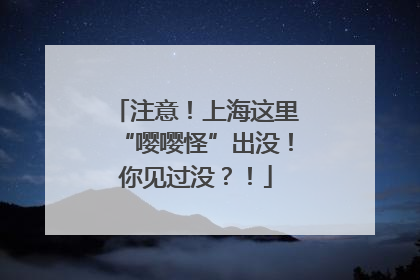注意！上海这里“嘤嘤怪”出没！你见过没？！