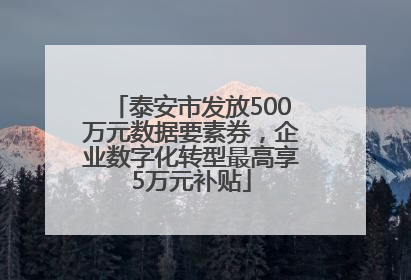 泰安市发放500万元数据要素券，企业数字化转型最高享5万元补贴