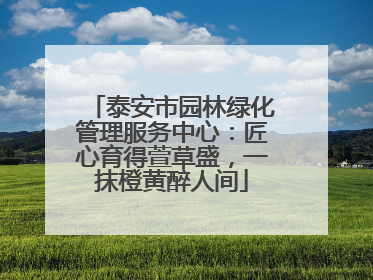 泰安市园林绿化管理服务中心：匠心育得萱草盛，一抹橙黄醉人间