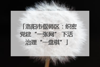 洛阳市偃师区：织密党建“一张网” 下活治理“一盘棋”