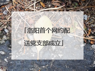 洛阳首个网约配送党支部成立