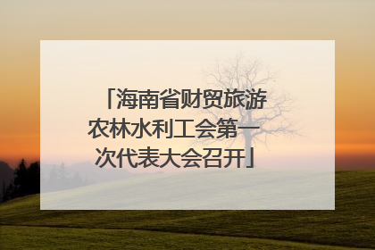 海南省财贸旅游农林水利工会第一次代表大会召开