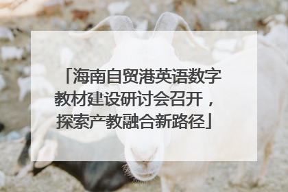 海南自贸港英语数字教材建设研讨会召开，探索产教融合新路径