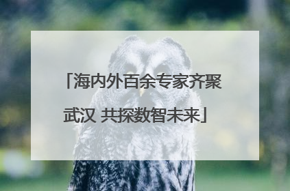 海内外百余专家齐聚武汉 共探数智未来