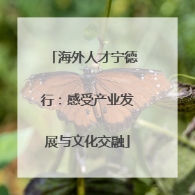 海外人才宁德行：感受产业发展与文化交融