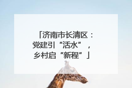 济南市长清区：党建引“活水”，乡村启“新程”