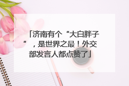 济南有个“大白胖子”，是世界之最！外交部发言人都点赞了