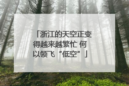 浙江的天空正变得越来越繁忙 何以领飞“低空”