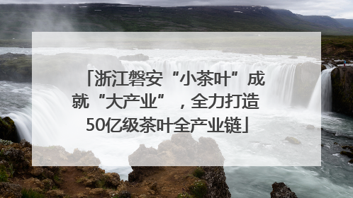 浙江磐安“小茶叶”成就“大产业”，全力打造50亿级茶叶全产业链