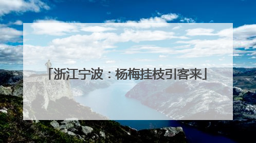 浙江宁波：杨梅挂枝引客来