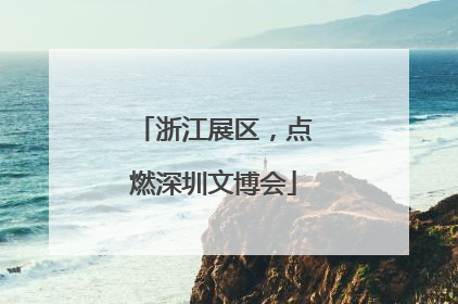 浙江展区，点燃深圳文博会