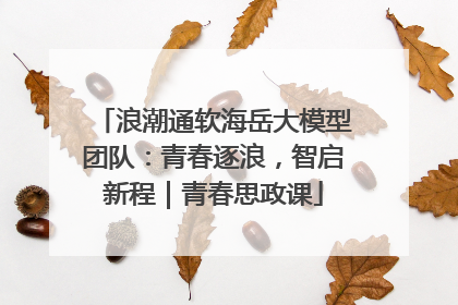 浪潮通软海岳大模型团队：青春逐浪，智启新程｜青春思政课