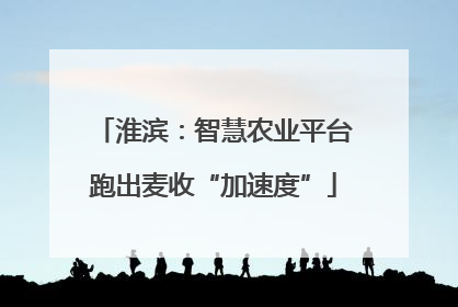 淮滨：智慧农业平台跑出麦收“加速度”