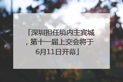 深圳担任境内主宾城，第十一届上交会将于6月11日开幕