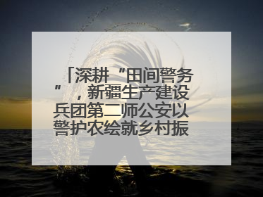 深耕“田间警务”，新疆生产建设兵团第二师公安以警护农绘就乡村振兴平安画卷