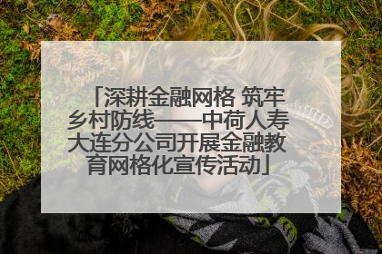 深耕金融网格 筑牢乡村防线——中荷人寿大连分公司开展金融教育网格化宣传活动