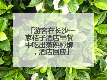 游客在长沙一家桔子酒店早餐中吃出蒸熟蟑螂，酒店回应
