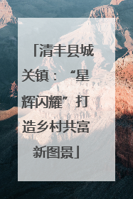 清丰县城关镇：“星辉闪耀”打造乡村共富新图景