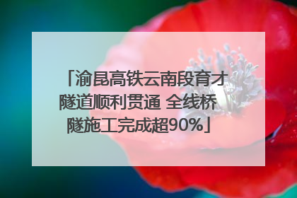 渝昆高铁云南段育才隧道顺利贯通 全线桥隧施工完成超90%