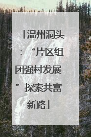 温州洞头：“片区组团强村发展”探索共富新路