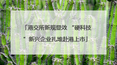 港交所新规显效 “硬科技”新兴企业扎堆赴港上市