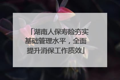湖南人保寿险夯实基础管理水平，全面提升消保工作质效