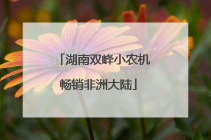 湖南双峰小农机畅销非洲大陆