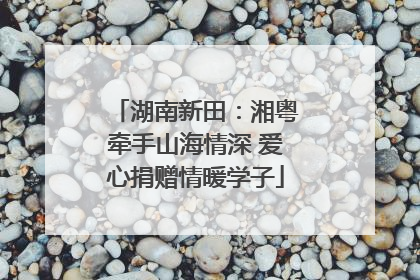 湖南新田：湘粤牵手山海情深 爱心捐赠情暖学子