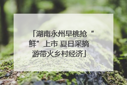 湖南永州早桃抢“鲜”上市 夏日采摘游带火乡村经济