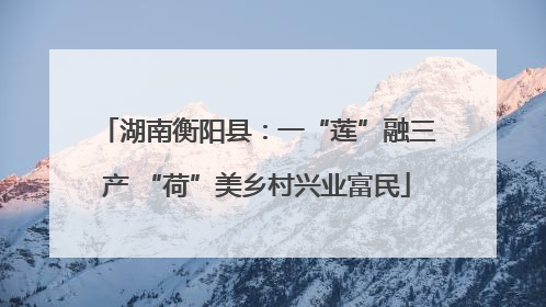 湖南衡阳县：一“莲”融三产 “荷”美乡村兴业富民