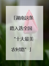 湖南这条路入选全国“十大最美农村路”