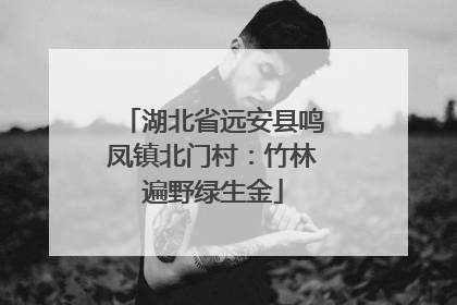 湖北省远安县鸣凤镇北门村：竹林遍野绿生金