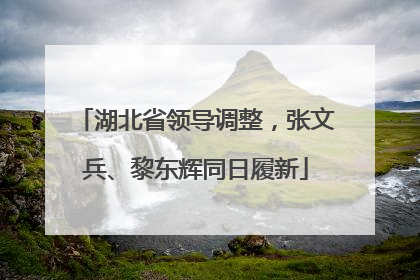 湖北省领导调整，张文兵、黎东辉同日履新