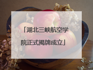 湖北三峡航空学院正式揭牌成立
