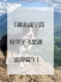 湖北咸宁高校学子飞桨逐浪迎端午