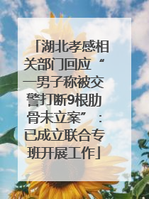湖北孝感相关部门回应“一男子称被交警打断9根肋骨未立案”：已成立联合专班开展工作