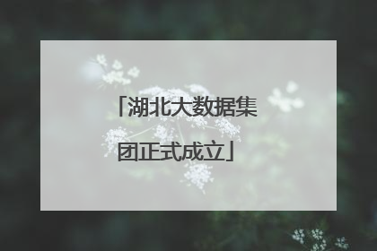 湖北大数据集团正式成立